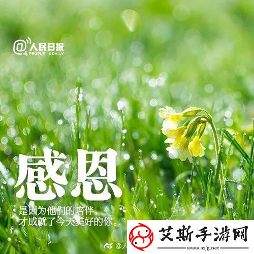 懂你的嫩叶草：解读春天的生机与希望