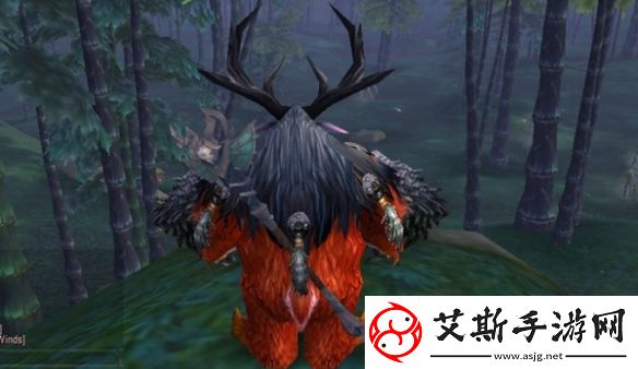 魔兽世界乌龟服猫德装备要什么属性