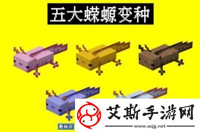 我的世界美西螈繁殖方法一览：我的世界美西螈繁殖方法