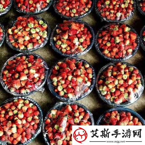 草莓福利来袭：如何抢先领取甜美果实优惠券