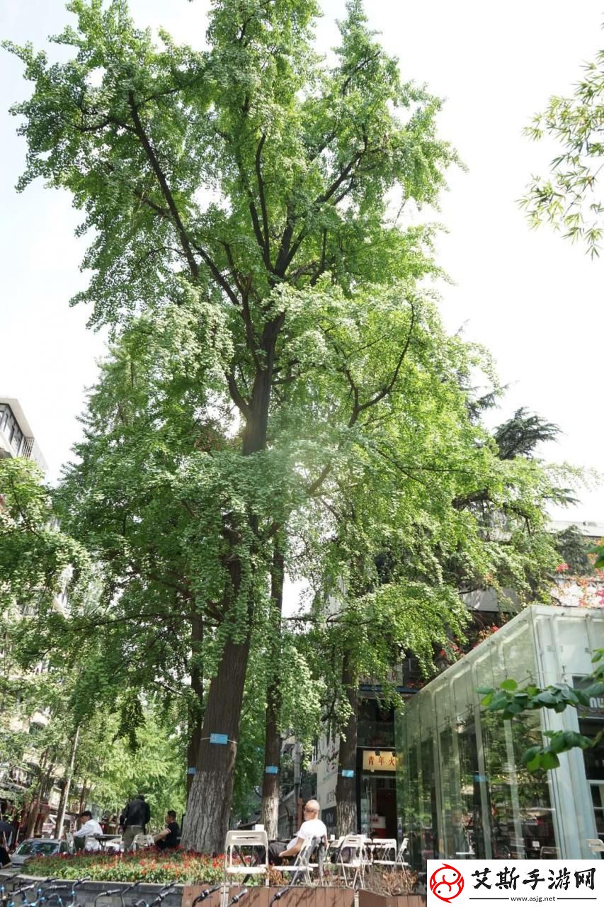 元气骑士无尽模式100波攻略：从新手到大师的终极指南