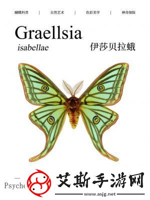心动小镇伊莎贝拉蛾捕捉位置攻略【详解】