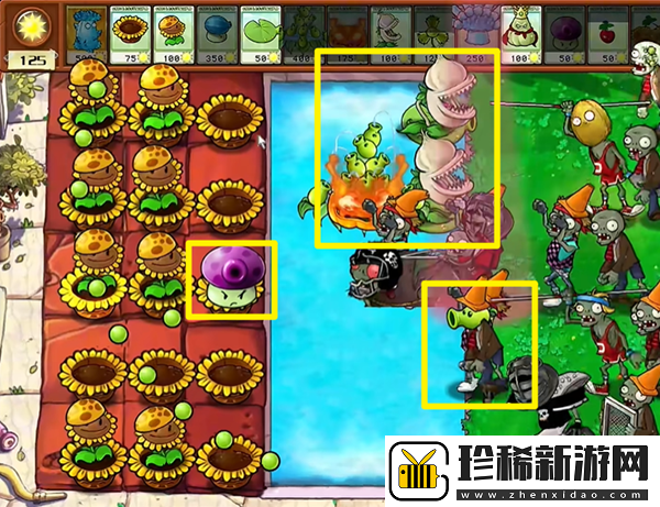 植物大战僵尸杂交版高冰果3怎么过