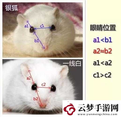 日本一线和三线的区别是什么