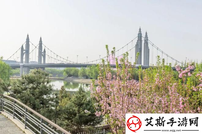 探索嫩叶草2022年旧址路线：自然与历史的完美结合