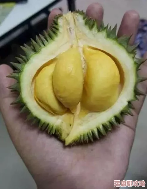 榴莲视频色板：深入解析榴莲视频中的色彩运用与视觉效果-带你领略独特的艺术魅力与创作灵感
