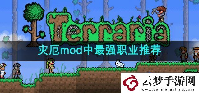 泰拉瑞亚灾厄mod中最强职业是什么