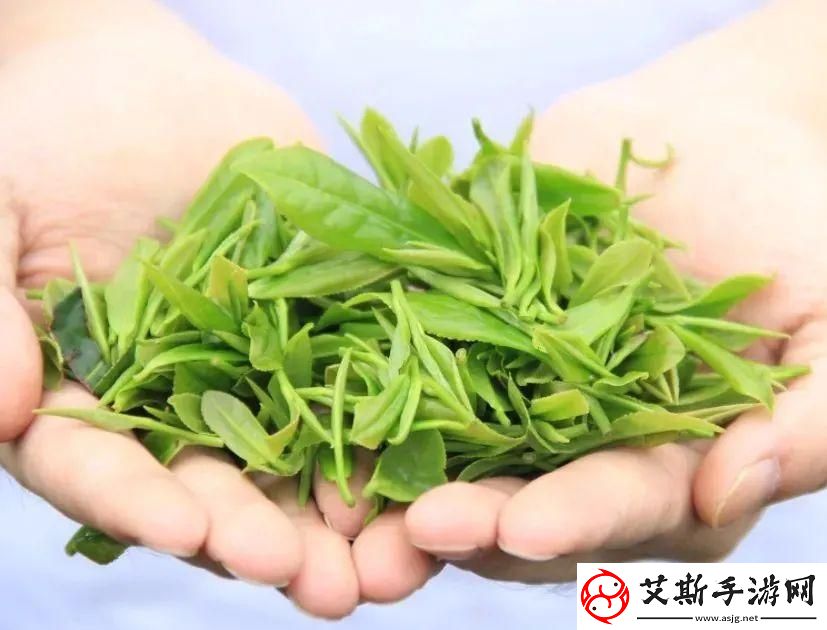 掌握最新趋势