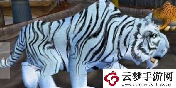 魔兽世界怀旧服虎王邦加拉什在哪
