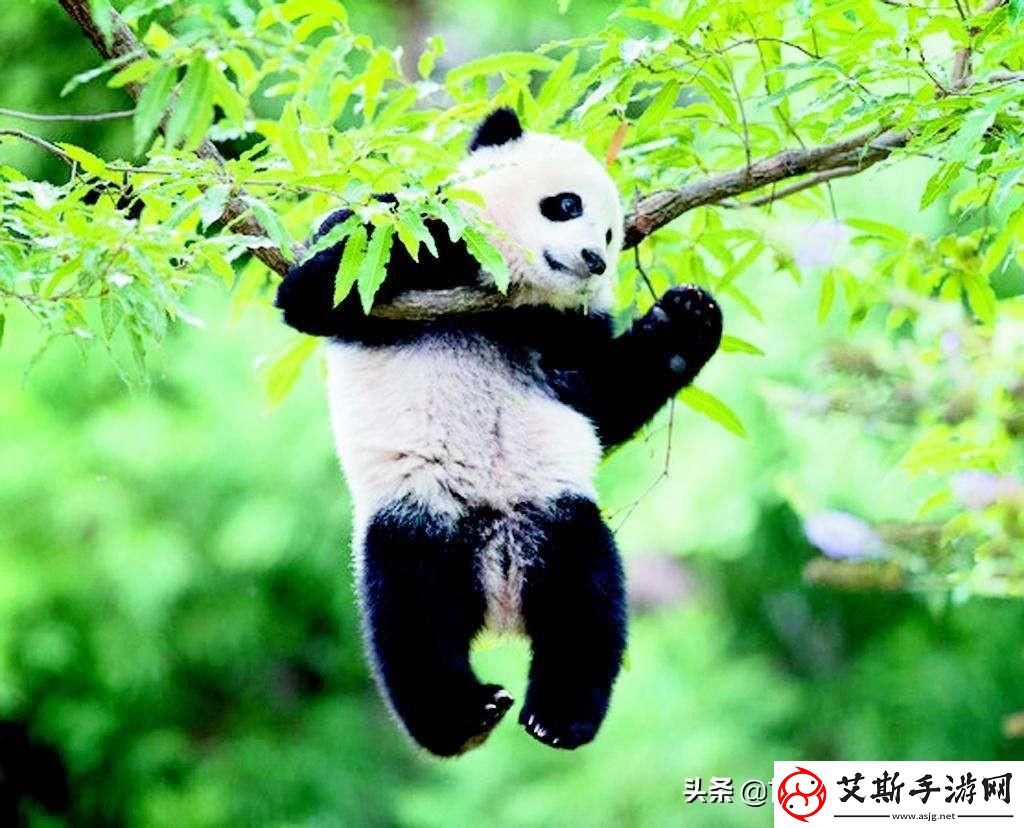 怪兽之星天生能力图鉴一览：解锁每个怪兽的独特技能与潜能