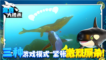 炮炮王3D公测上线倒计时
