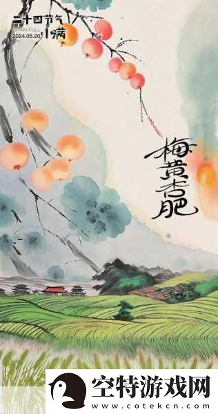 雨打芭蕉电影免费观看高清
