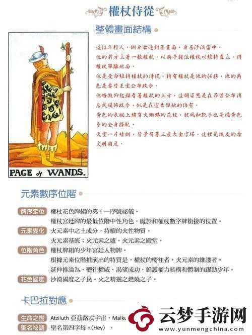 揭示侍从胸甲的奥秘