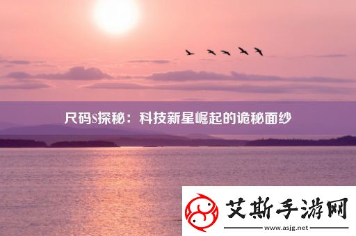 尺码S探秘：科技新星崛起的诡秘面纱