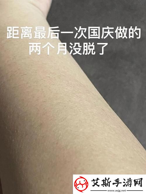 揭秘aaaa级毛和aaaa的区别：理解其特性和应用场景