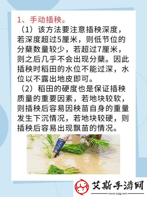夫妻插秧38种合作方式优雅共舞田间的春风