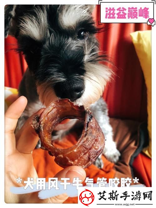 后美国人与动物胶配方大全图片友：了解传统工艺的魅力柯林