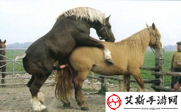 探讨“性生生活性生交A级”的丰富内涵与影响