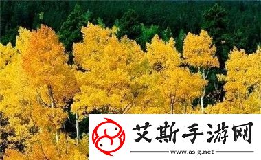 大地资源电影第三页评测：内容丰富体验良好