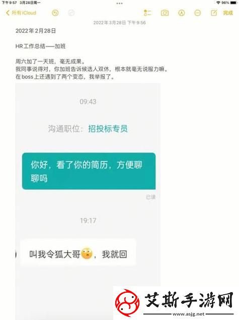 在职场与家庭之间：瞒着老公加班的hr中字的故事