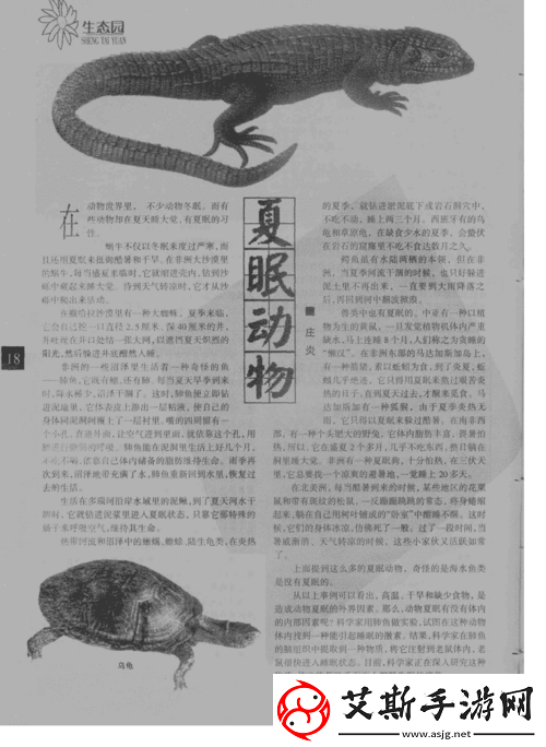 看镜子里我们的结合的地方科学