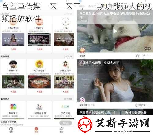 含羞草传媒一区二区三-一款功能强大的视频播放软件