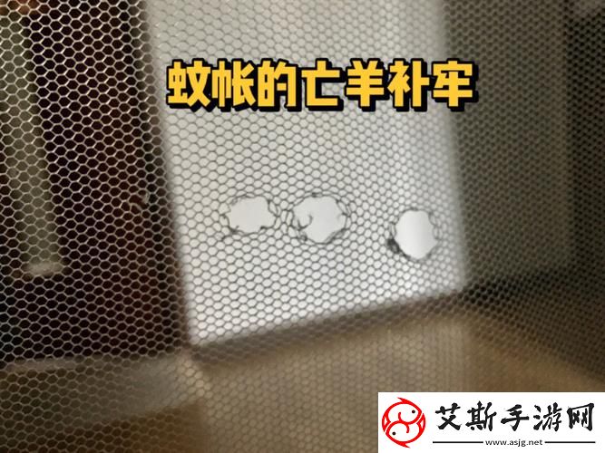 洞被弄大了过几天能变小吗：探索自然与时间的奥秘