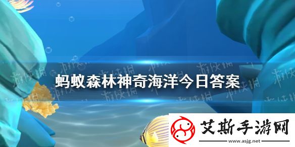 可爱的海兔是以下哪种动物的亲戚神奇海洋12月14日答案