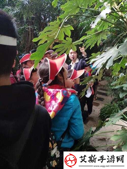 印度-BBw-：探寻其独特魅力与文化传承的奥秘之旅