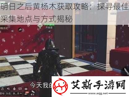 明日之后黄杨木获取攻略：探寻最佳采集地点与方式揭秘