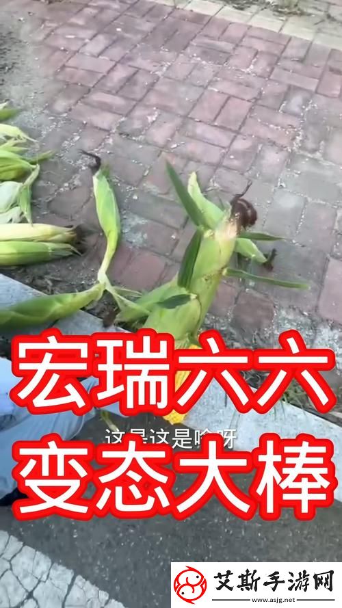 大肉奉子一进一出：觅食的冒险与唾液的舞蹈