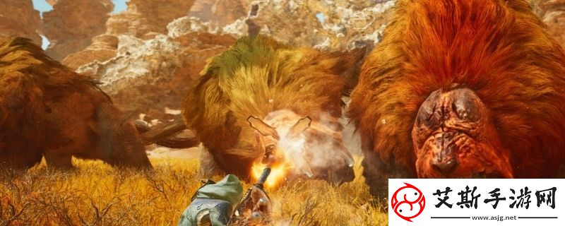 怪物猎人荒野怎么看现在什么气候查看当前气候方法