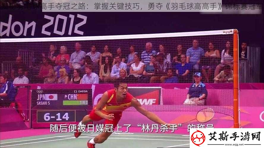 揭秘羽毛球高手夺冠之路：掌握关键技巧勇夺羽毛球高高手锦标赛冠军