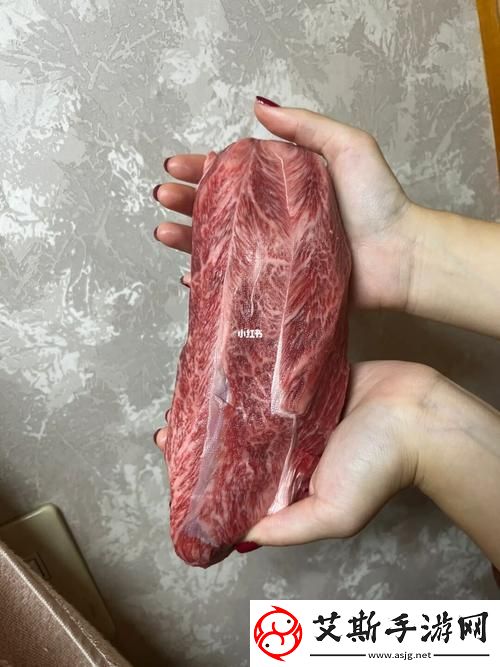 大肉大捧一进一出的视频友