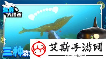 2024年最受欢迎的策略游戏推荐：英雄无敌：觉醒与其他新作的全方位解析！