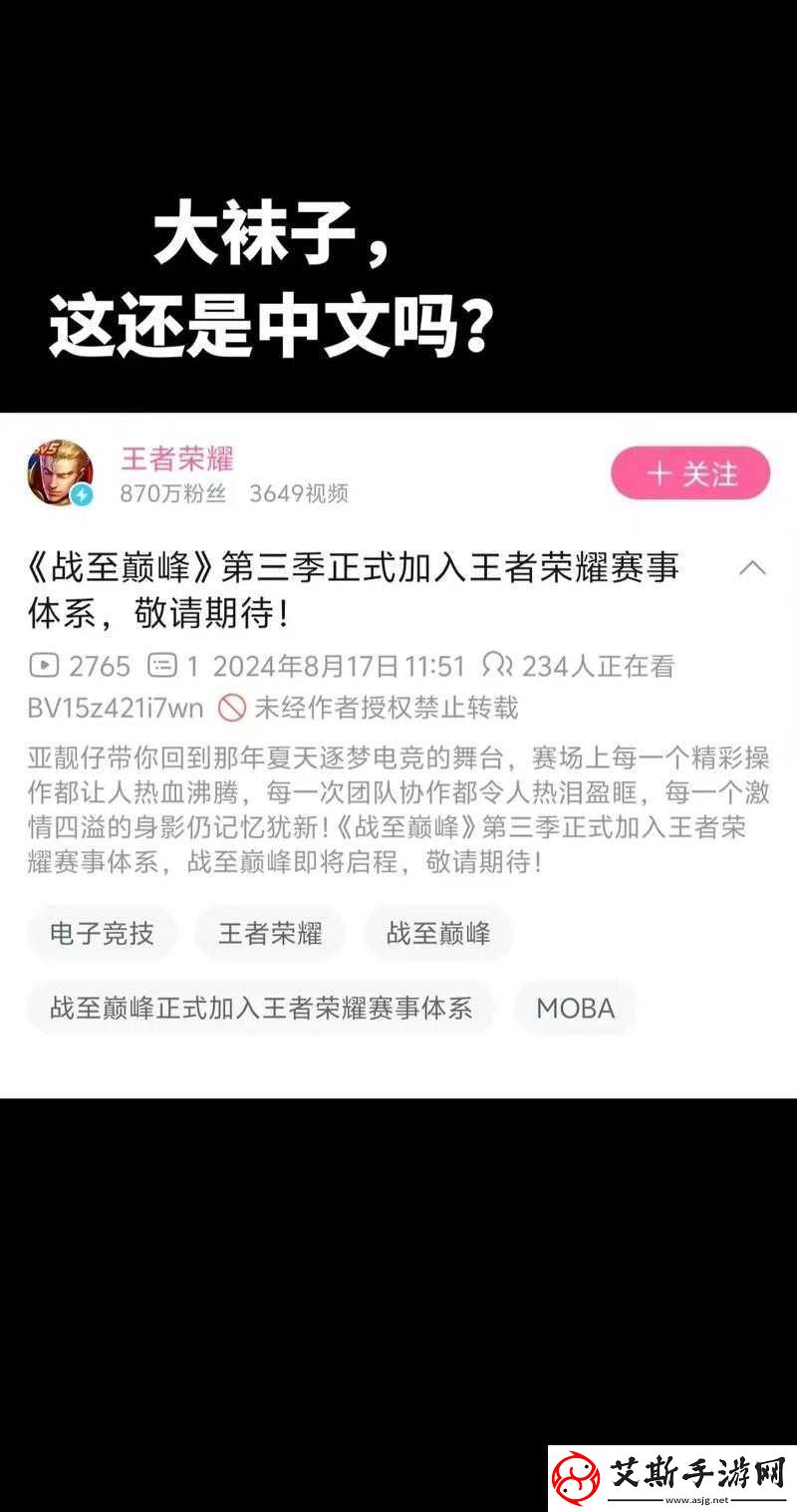 王者荣耀战至巅峰深入解析口令的重要性及高效管理技巧