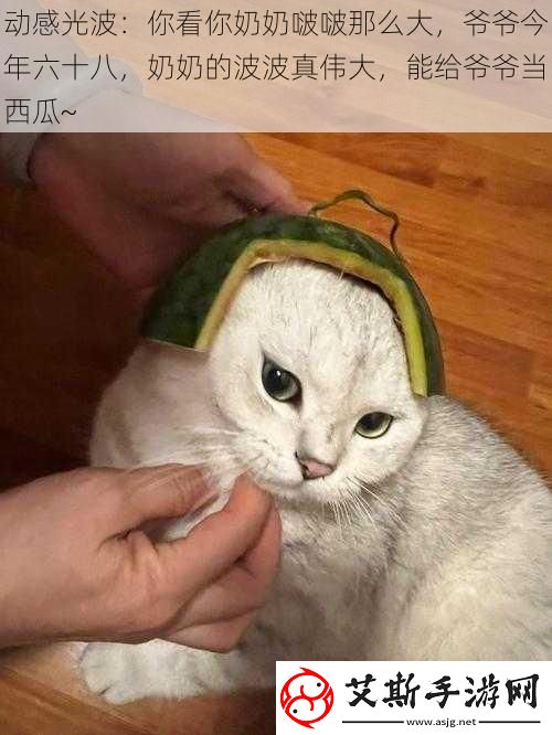 动感光波：你看你奶奶啵啵那么大，爷爷今年六十八，奶奶的波波真伟大，能给爷爷当西瓜~