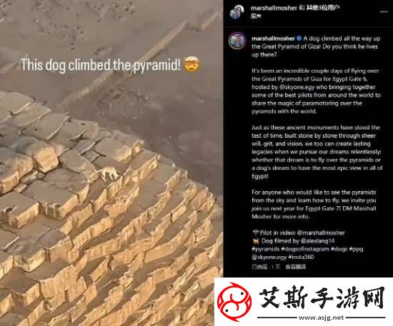 游你扯淡