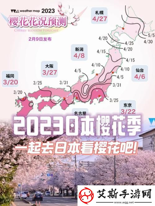 樱花最新最新入门站2023：探索樱花的魅力与优雅