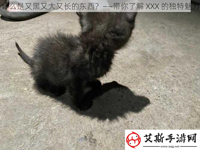 什么是又黑又大又长的东西——带你了解XXX的独特魅力