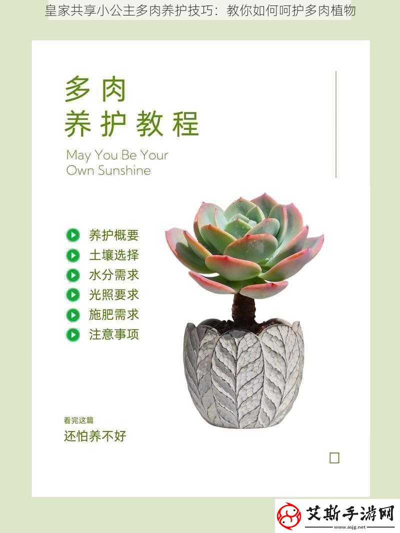皇家共享小公主多肉养护技巧：教你如何呵护多肉植物!