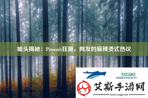 噱头揭秘：Proumb狂潮-友的麻辣烫式热议