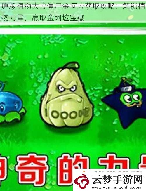 原版植物大战僵尸金坷垃获取攻略：解锁植物力量赢取金坷垃宝藏