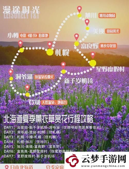 “薰衣草研究所入口隐藏之谜”：探索神秘花海的秘密