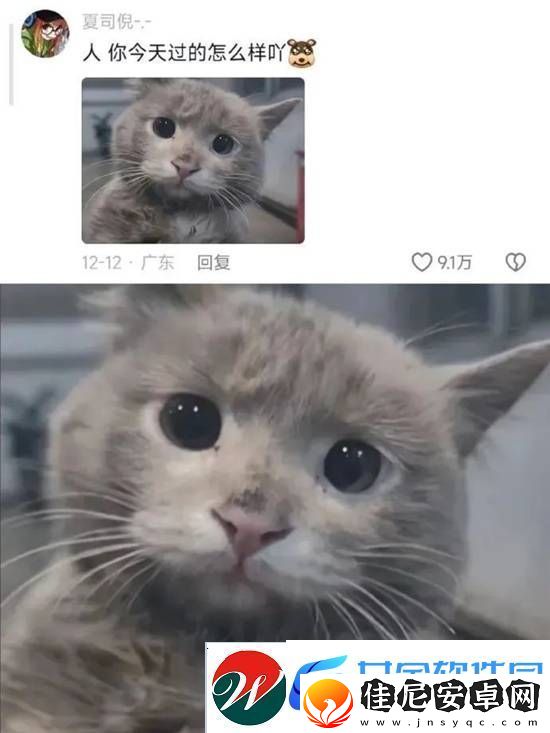 不懂小肚子的有难了