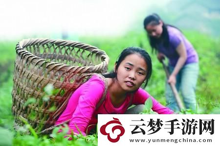 编程奶爸的萌新之路：宝贝-代码里找糖吃！