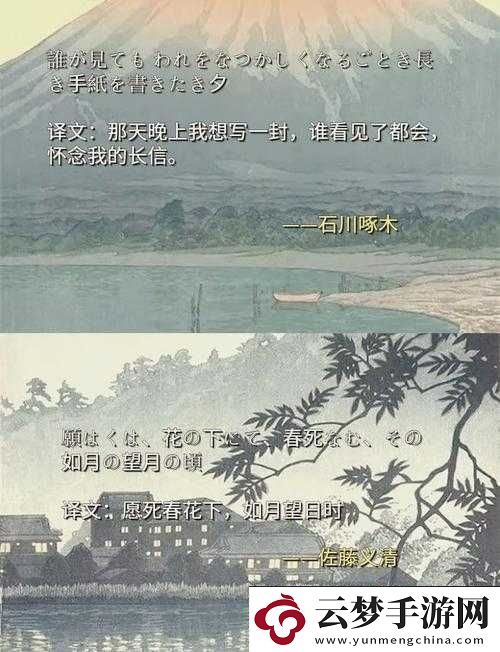 老狼老狼-芦苇芭蕉间的诗意探寻
