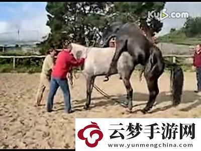 “科技圈笑话：动物配种-惊呆众生”