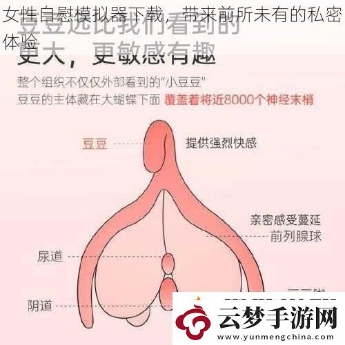 女性自慰模拟器下载-带来前所未有的私密体验