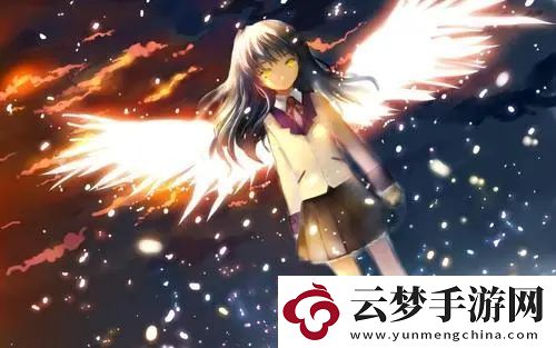 成成品站源码有限公司：高效便捷的站解决方案-成就您的络梦想